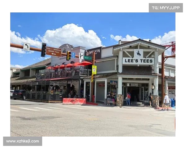 全方位解析NBA球队粉丝文化及其对球队表现的深远影响