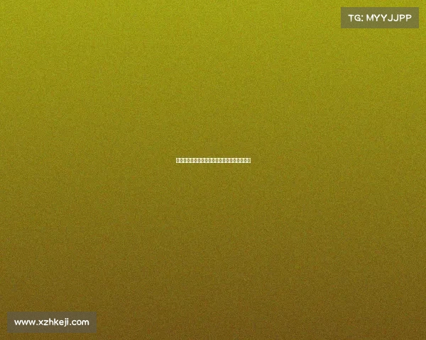 法甲球员在欧洲杯舞台上的精彩表现与潜力分析